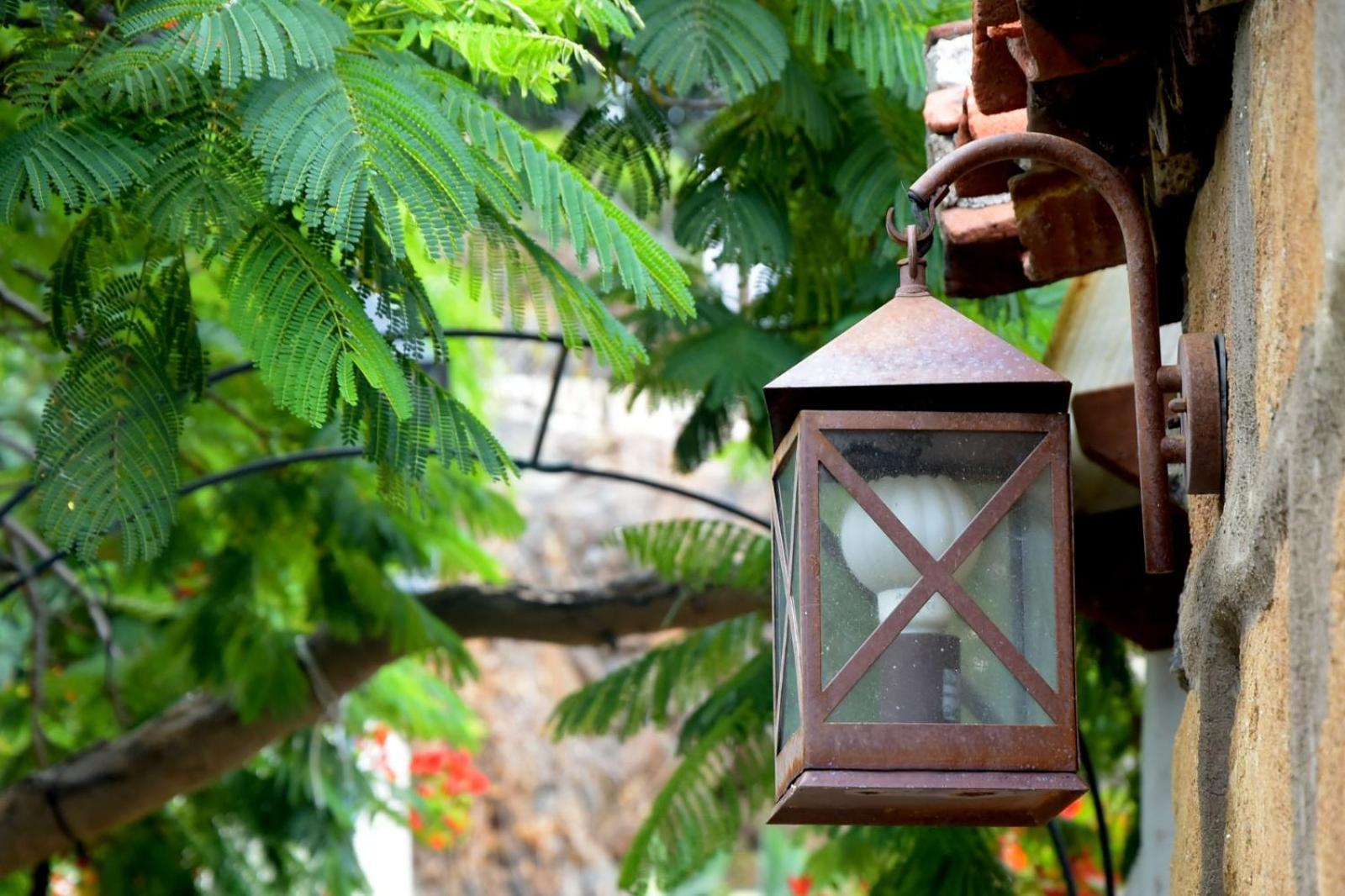 Romantic Hamlet Cottage With Private Pool La Fragua De Eliseo Candelaria Bagian luar foto